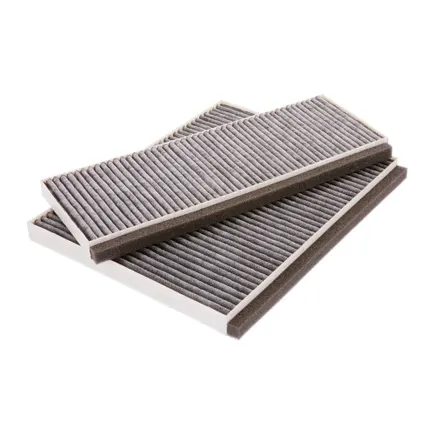 Bosch Cleanair Plus Kohlefilter DWZ1KK1B6 / 17008355 (2 Stück)