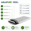 Alapure Geruchs- und Feinstaubfilter passend für Pelgrim HF3015 (2 Stück)