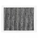 Alapure Geruchs- und Feinstaubfilter geeignet für Pelgrim HF3001 Alapure Geruchs- und Feinstaubfilter geeignet für Pelgrim HF3001
