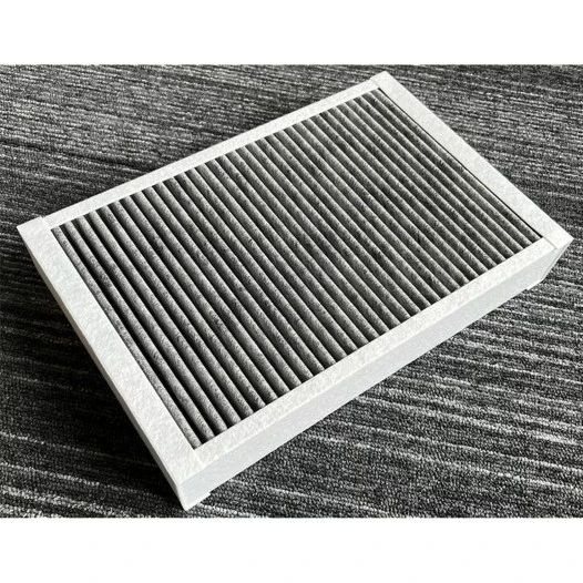 Pelgrim Geruchs- und Feinstaubfilter HF3008