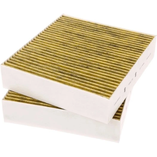 Alapure Kohlefilter passend für Gaggenau 11058753 / 11028106 / AA410110 (2St.)