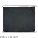 Alapure Longlife Aktivkohlefilter geeignet für Zanussi Typ 31 / F00439 / 9029793842