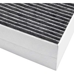 Alapure CleanAir Aktivkohlefilter geeignet für Constructa 00741638 / 11017314 / 00678460