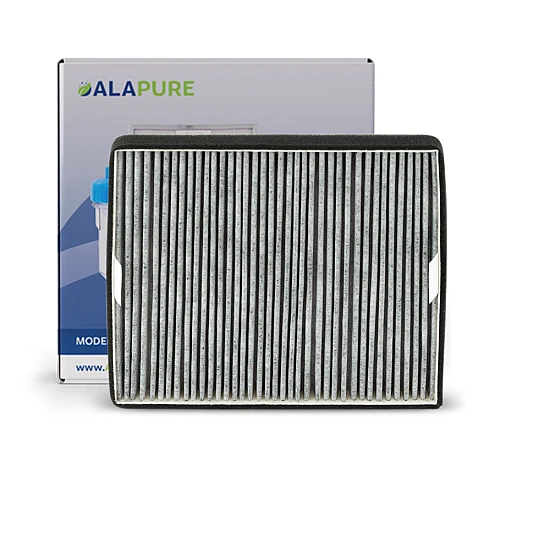 Alapure HFK3985 Kompatibel mit Miele Kohlefilter DKF11-P