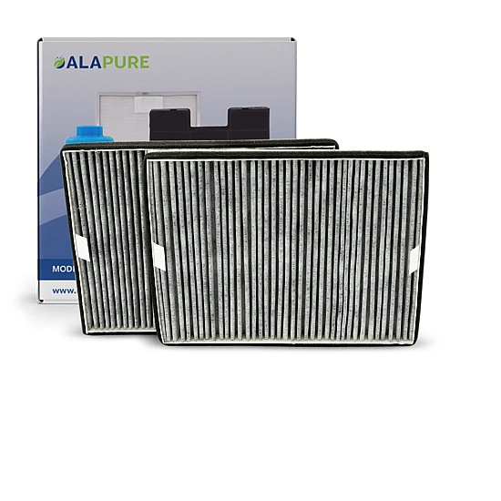 Alapure HFK4560 Kompatibel mit Miele Kohlefilter DKF16-P / 7932320 (2 Stück)