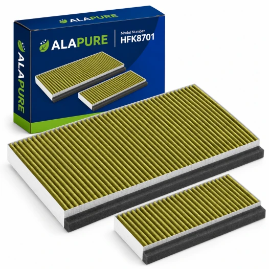 Alapure HFK8701 Geeignet für Constructa CleanAir Plus 11041790 / DWZ0AK0A0 Kohlefilter