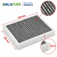 Alapure Geruchs- und Feinstaubfilter geeignet für Atag HF3013