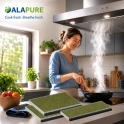 Alapure passend für Bosch CleanAir Plus Kohlefilter DWZ1BK1I6 / 17008032 (3St.)