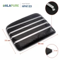 Alapure Kohlefilter passend für DeDietrich 71X0704 (2 Stück)