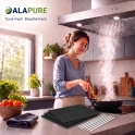 Alapure HFK79 Kohlefilter passend für Brandt Kohlefilter 74X1272