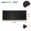 Alapure HFK80 Kohlefilter passend für DeDietrich Kohlefilter DHK306AP1