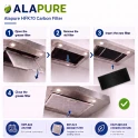 Alapure HFK80 Kohlefilter passend für DeDietrich Kohlefilter DHK306AP1