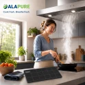 Alapure Kohlefilter geeignet für Whirlpool 482000005727 (2 St.)