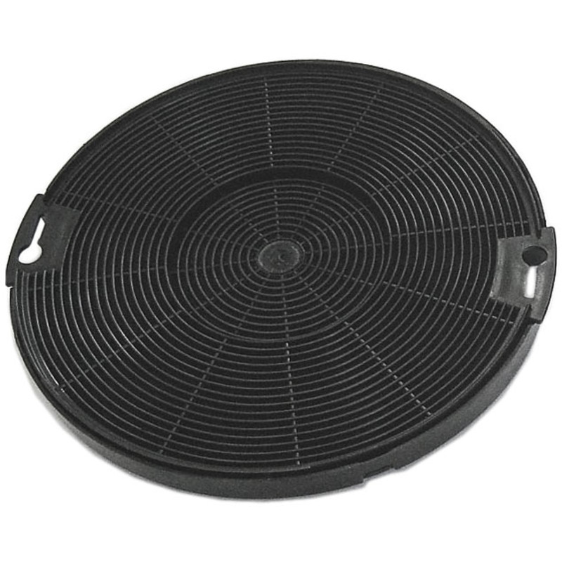 Alapure Aktivkohlefilter geeignet für Arthur Martin MCFE09 / 9029800548 (2er-Pack)